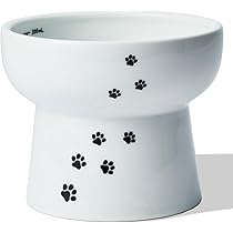 51A+waaqpIL._AC_UL210_SR210,